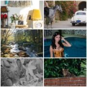 Sony A6000 Camera Bundle