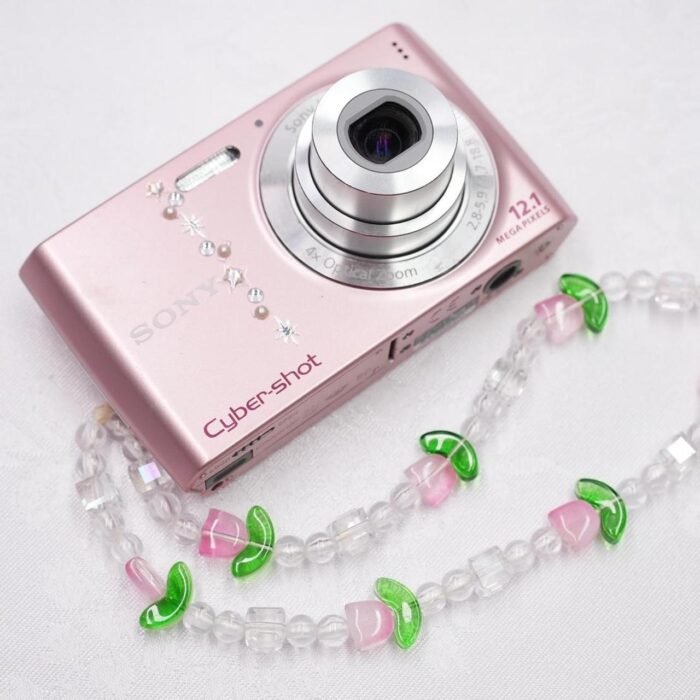 Sony Cybershot DSC-W510